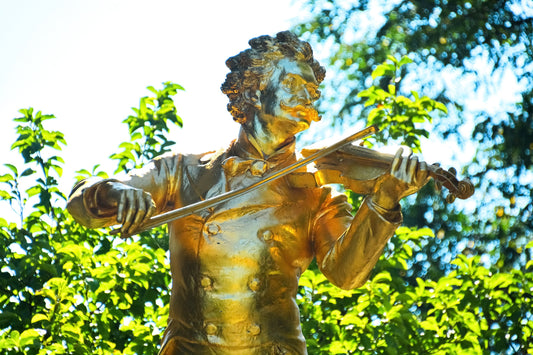 The Human Instrument and Giving Joy: An excerpt from Omraam