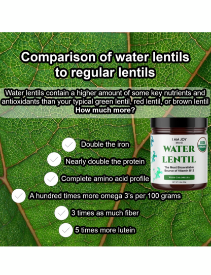 Water lentil protein powder (aka duckweed)