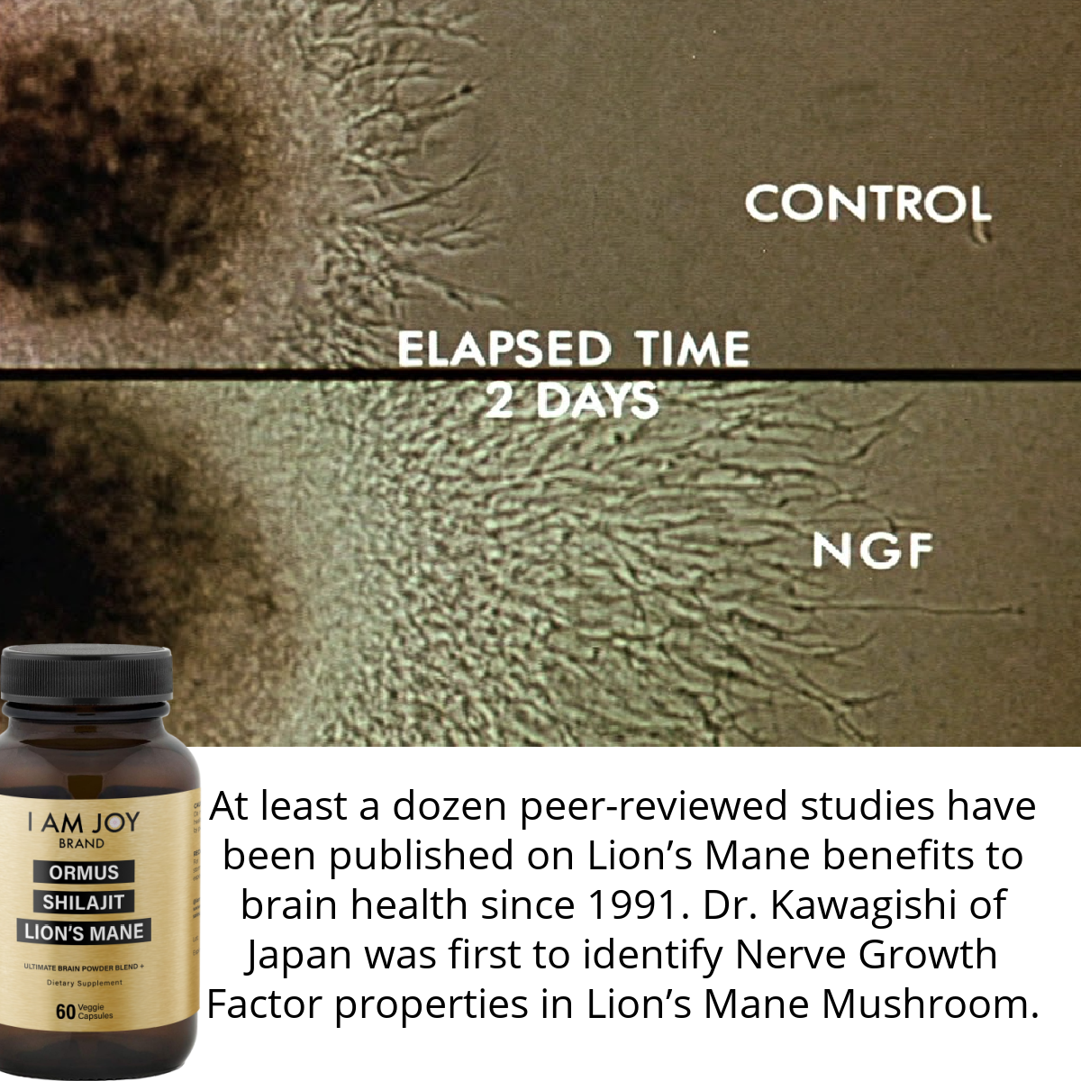 Joy Capsules - Ormus, Shilajit, Lions Mane Mushroom