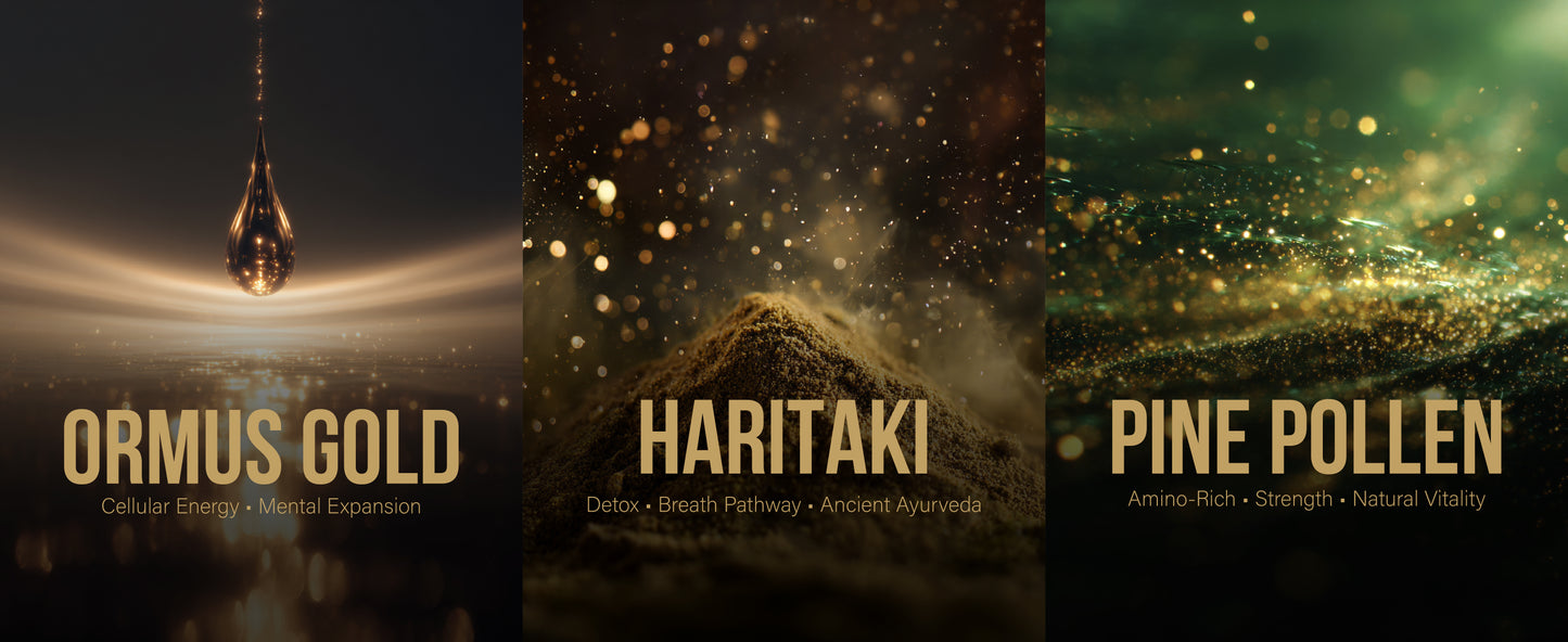 Third Eye Pine (Haritaki, Pine Pollen, Ormus Gold)